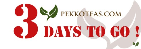 On 3 days to go till the pekkoteas.com launch!